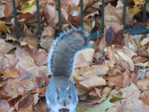 CRW_6718_StJames_Park