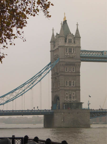 CRW_7108