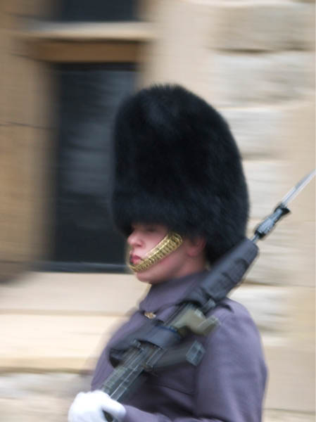 CRW_7142