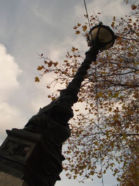 CRW_7250