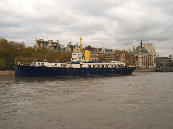 CRW_7310