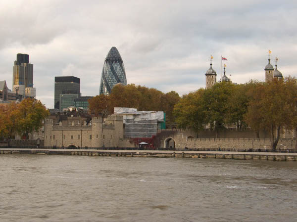 CRW_7377