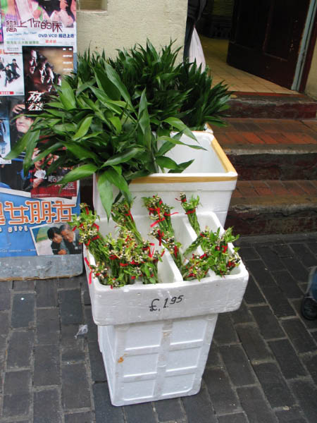 IMG_7080_Chinatown