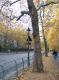 CRW_6663_StJames_Park