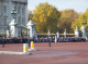CRW_6679_Buckingham_Palace