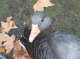 CRW_6710_StJames_Park