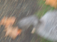 CRW_6714_StJames_Park