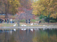 CRW_6716_StJames_Park