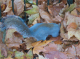 CRW_6720_StJames_Park