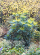 CRW_6749_StJames_Park