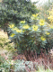 CRW_6750_StJames_Park