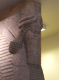 CRW_6904