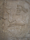 CRW_6910