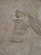 CRW_6912