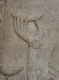 CRW_6913