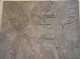 CRW_6914