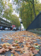 CRW_7197_Chelsea
