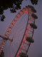 Photo0170