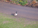Photo0243